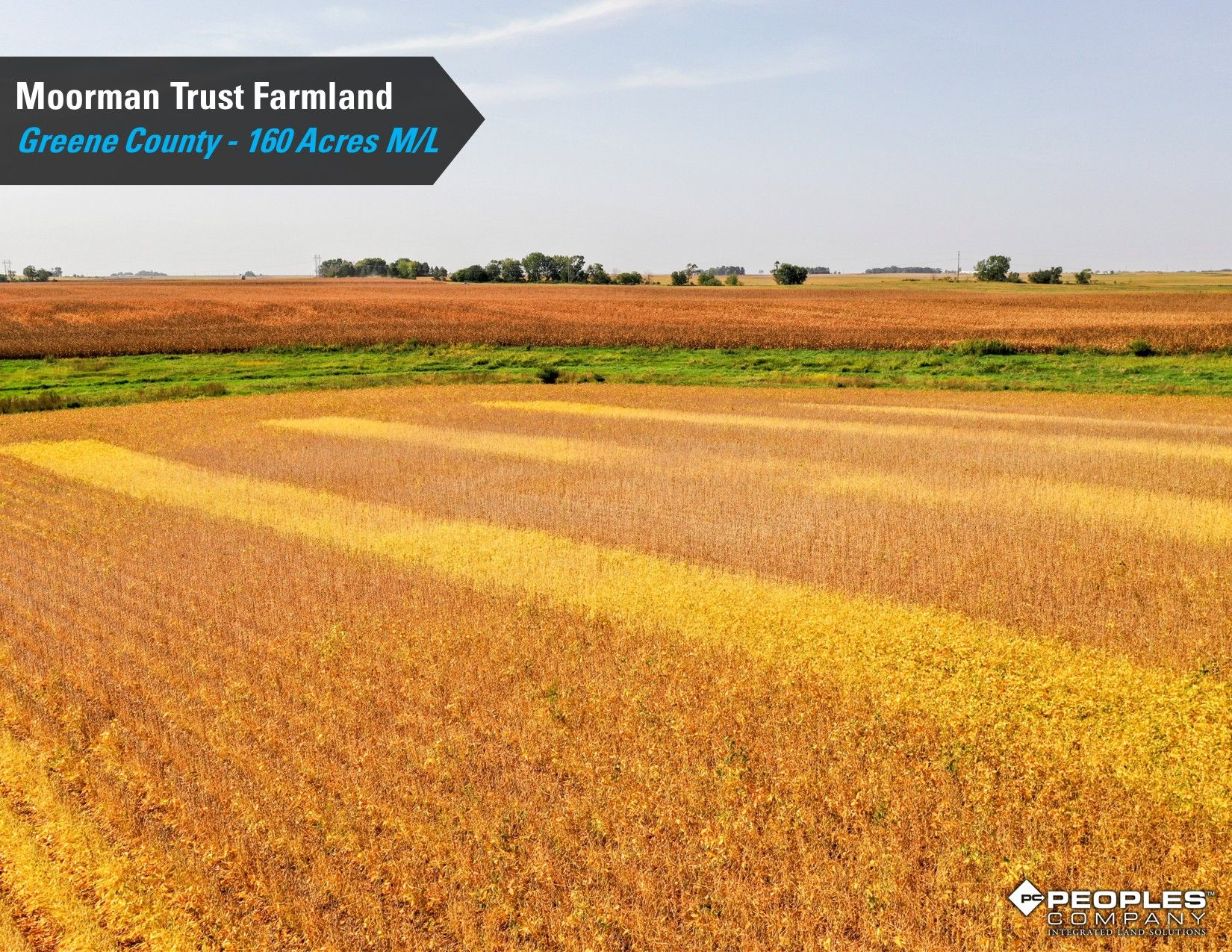 Listing Photo: Greene-County-Iowa-Farmland-Auction-160-Acres-Moorman-Rippey-IA-18618 (15)